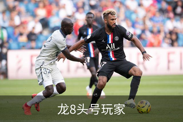 龙8头号玩家公司简介图片